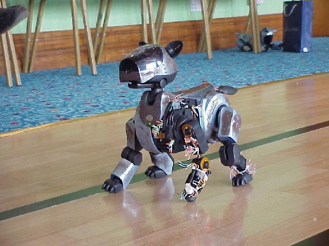 Scrapyard Aibo von X-Dog