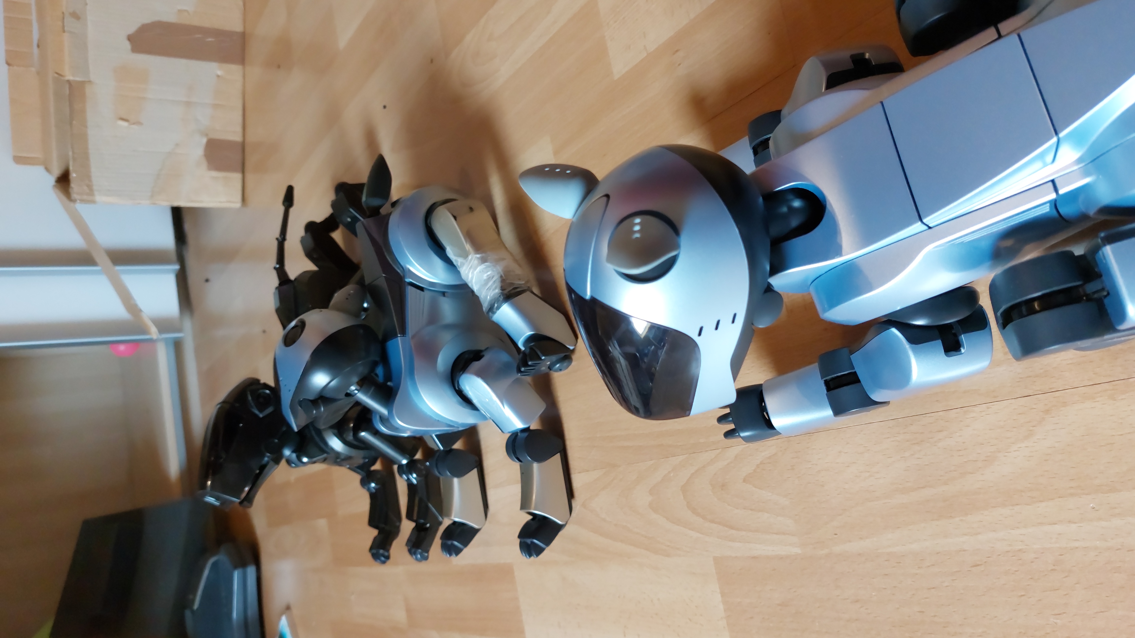 Jumpy wundert sich �ber Lili wer sie so total kaputt gemacht hat