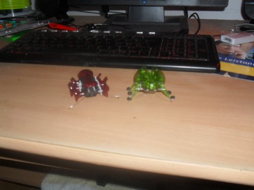 meine 2 Hexbugs