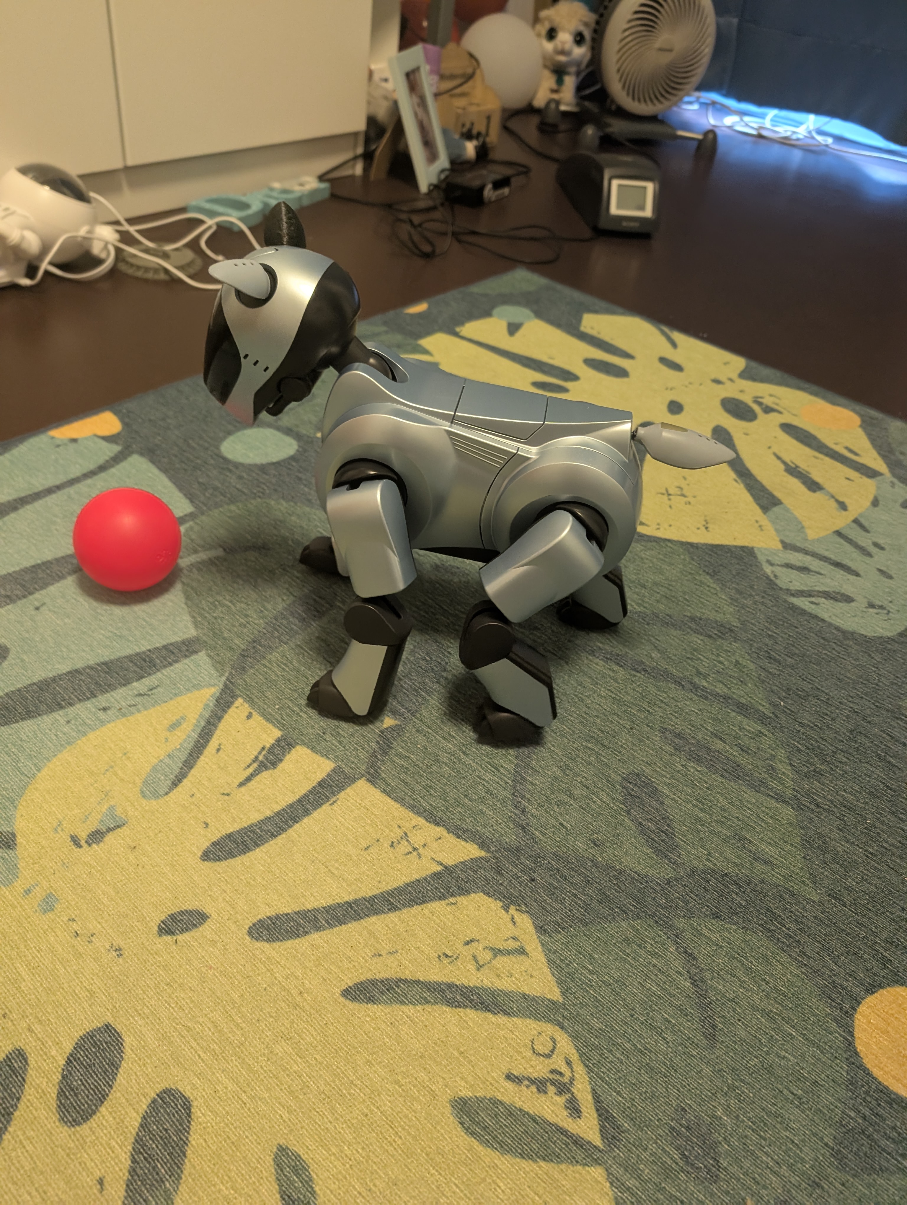 Jumpy lernt immer noch wie man Ball spielt