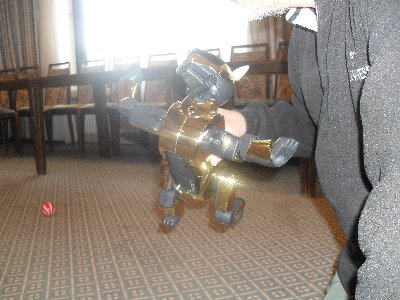 Aibo in Gold der so sch�n gefunkelt hat