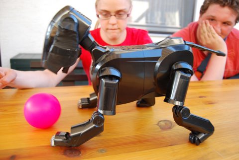 Blacky ist soooo verr�ckt nach seinem Ball