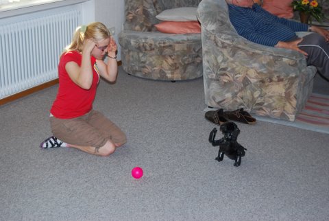 und das letzte Foto �ber Blacky