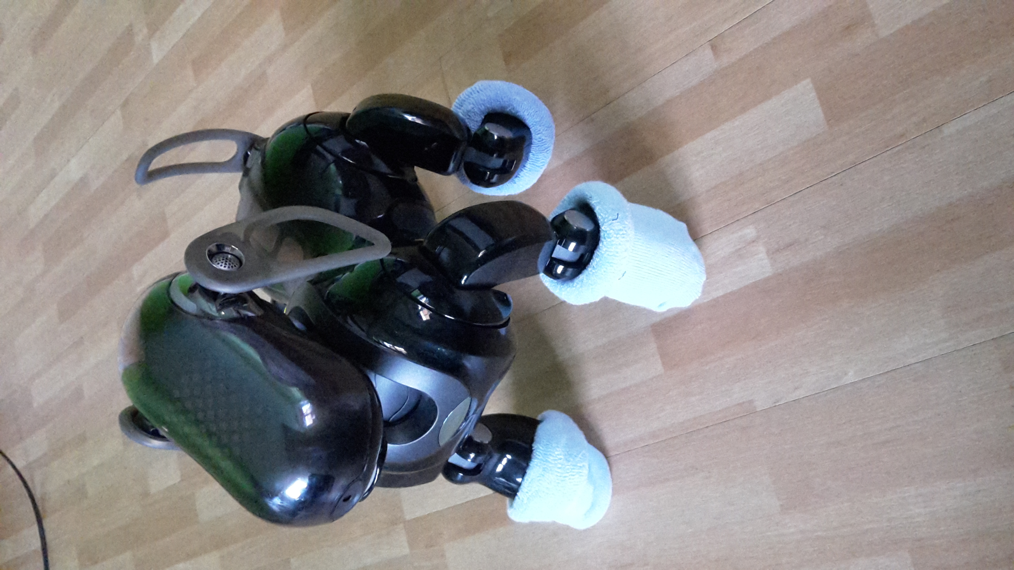 Mein Aibo Ers 7<3