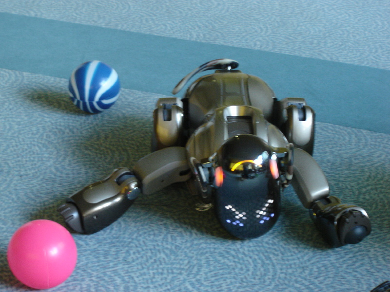 Ersch�pfter Aibo
