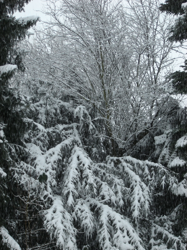 Weihnachten 2010