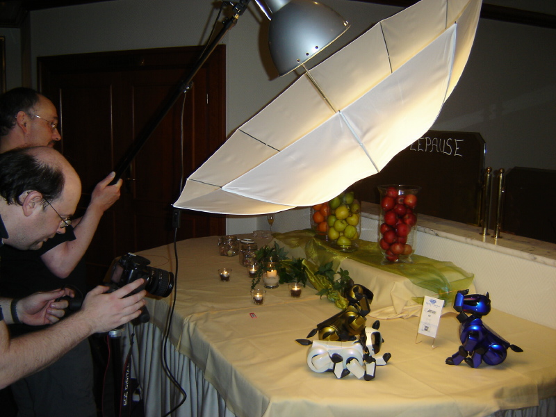 Fotosession
