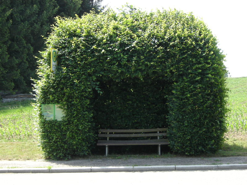Warteh�uschen