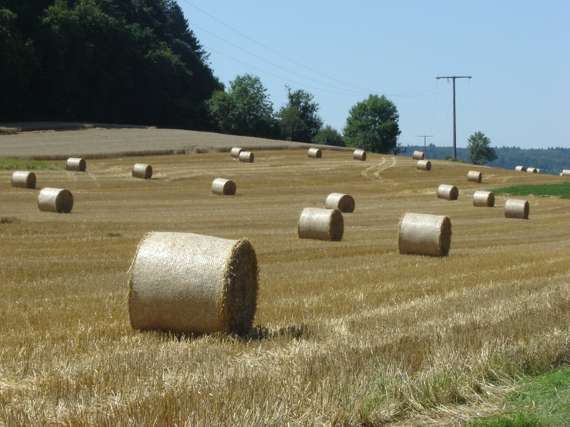 Sommer im S�den