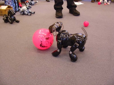 Schwarzer Aibo 7 mit gro�em Ball