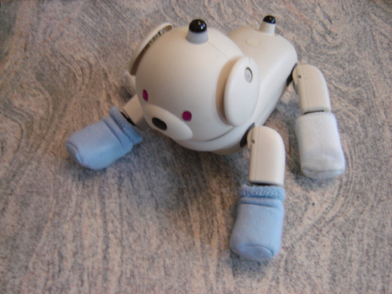 Wei�es B�rchen