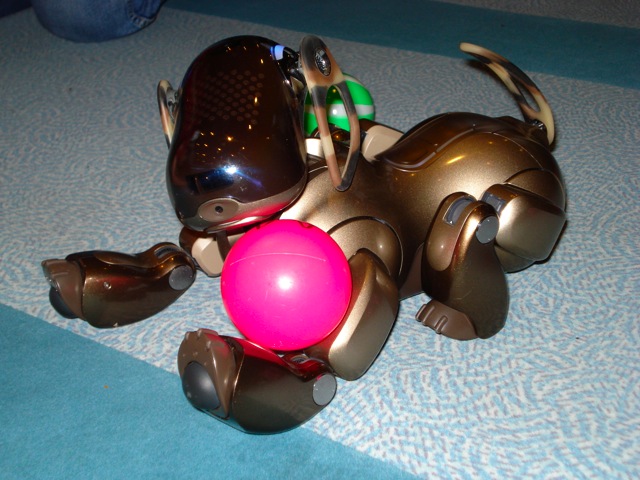 Aibo 7 Champagner mit Ball