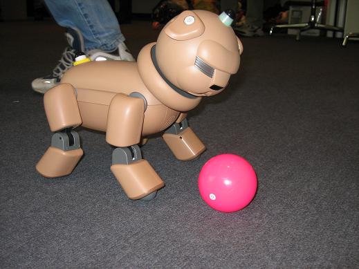 Pug 31L