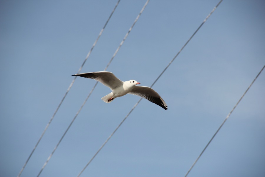 M�we
