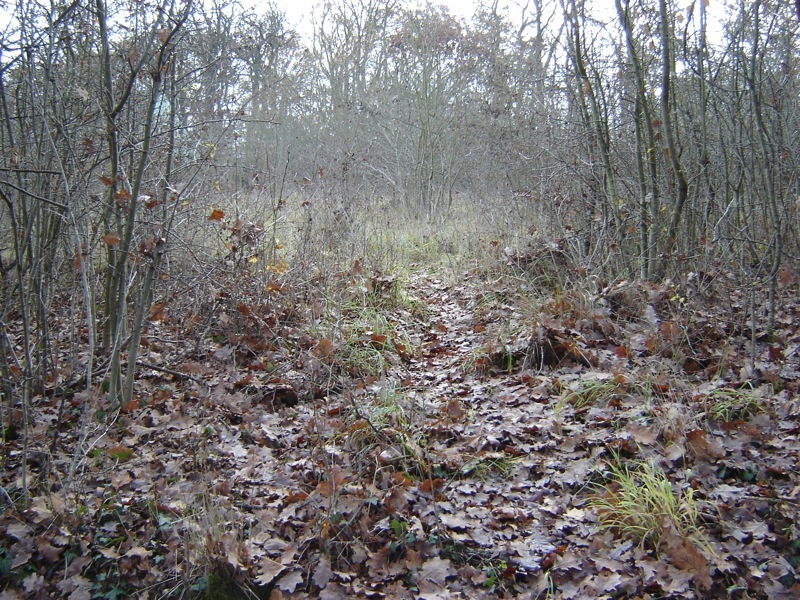 Auf dem Bunker