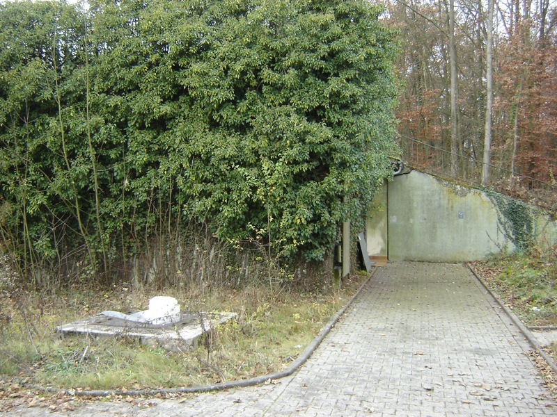 �Tarnamt�