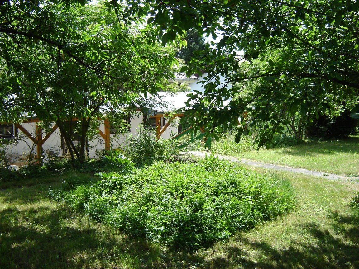 Im Garten
