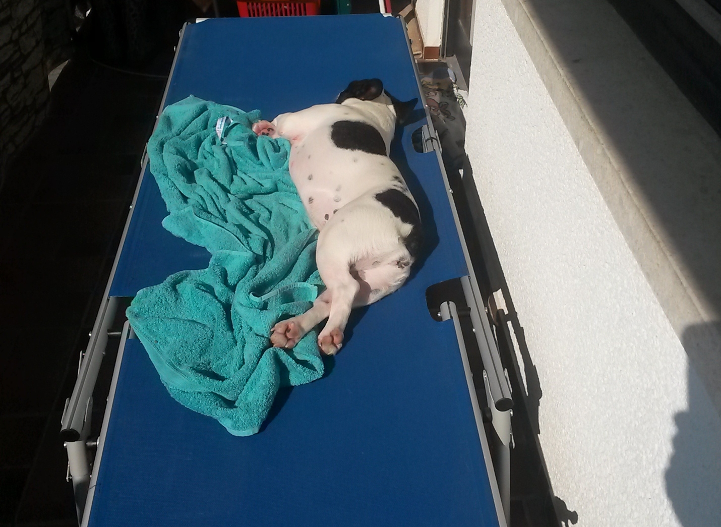 Sommer, Sonne und Diva