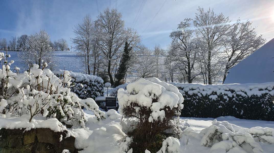 Schnee zu verkaufen