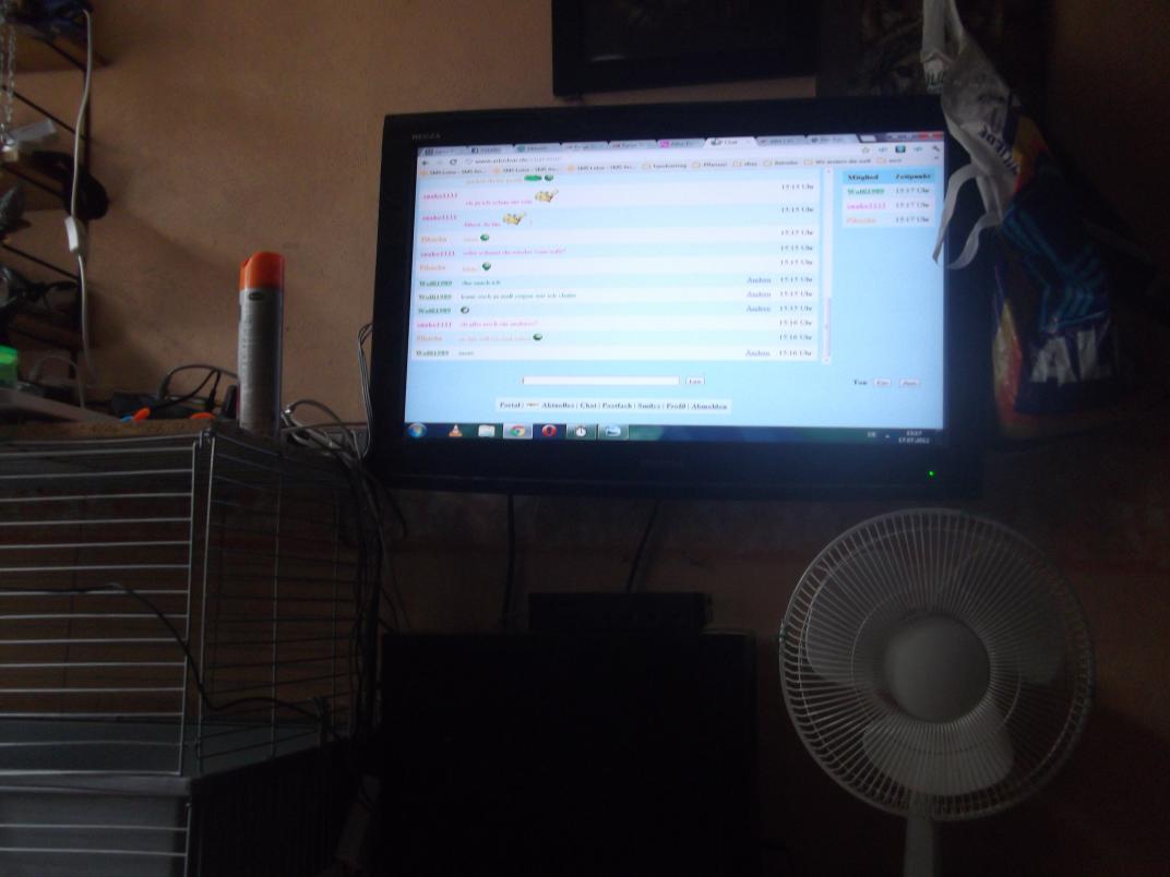 sosieht eine pc ausr�stung eine WOlfi auf