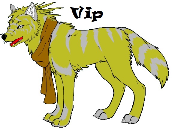 Vip